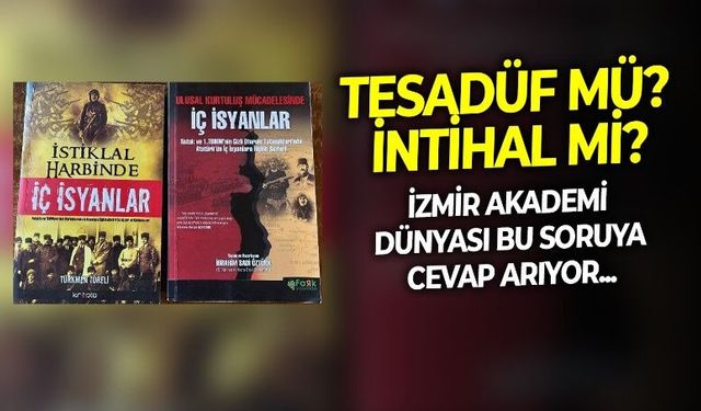 Milli mücadele üzerine iki kitap arasında şaşırtıcı benzerlikler! Hedefte Prof. Dr. Türkmen Töreli var