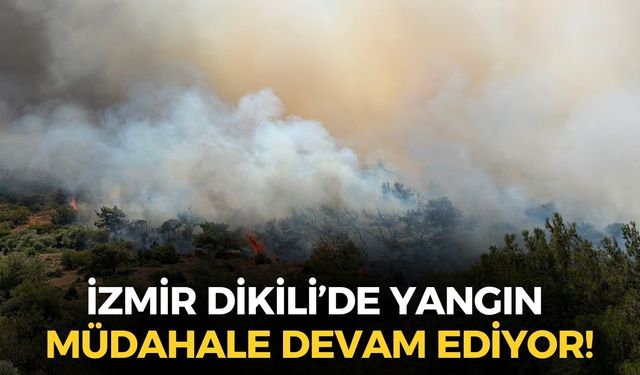 İzmir Dikili'de yangın! Müdahale sürüyor!