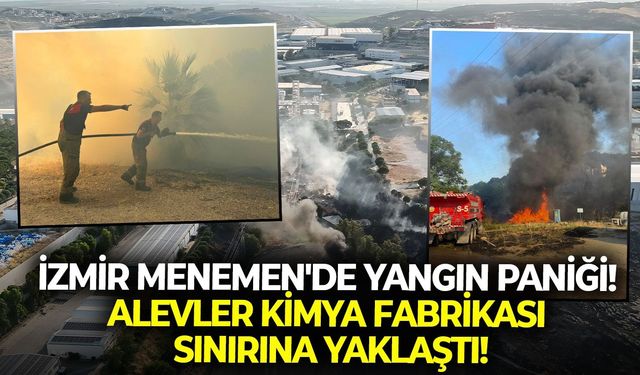 İzmir Menemen'de yangın paniği! Alevler kimya fabrikası sınırına yaklaştı!
