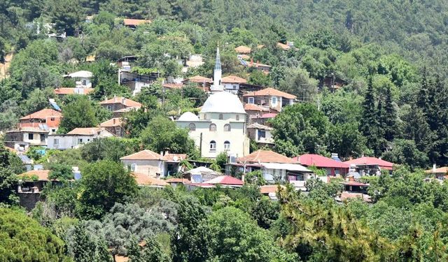 İzmir'de bir gidenin bir daha unutamadığı köy: Şifalı suları ve organik ürünleri ile ünlü