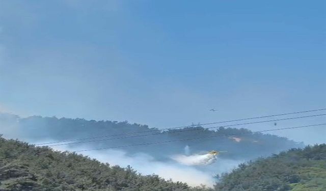 İzmir alevler için seferber oldu! Manisa Soma’da orman yangını!