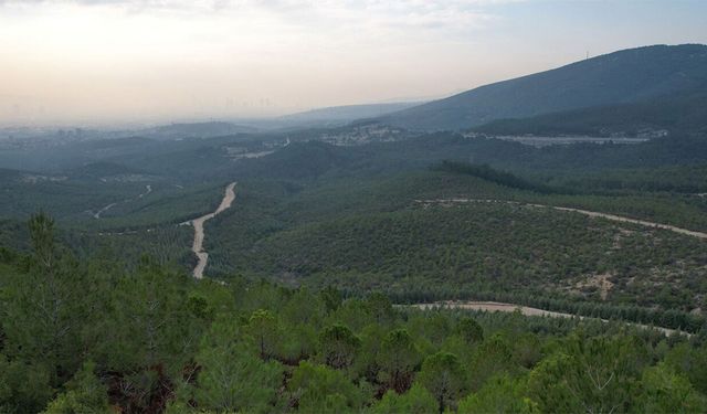 İzmir'de 5 ay boyunca tamamen yasaklandı. Görevli personel dışında kimse giremeyecek
