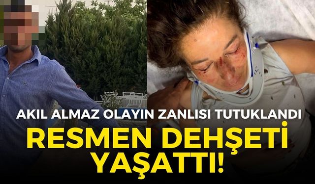 Selçuk'ta hayvansevere dehşeti yaşattı! O zanlı tutuklandı