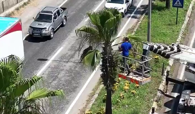Torbalı'da haftalık çalışmalar hız kesmeden devam ediyor!