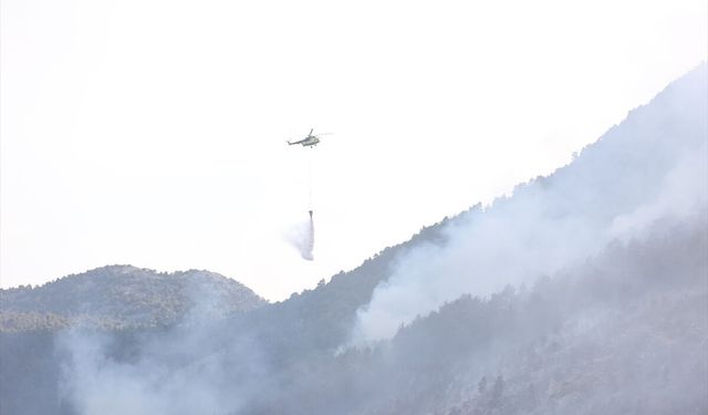 Antalya'da orman yangını: Havadan ve karadan müdahale sürüyor