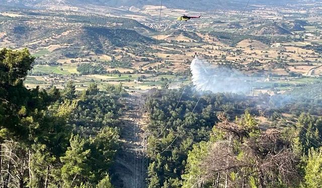 Manisa Demirci'de orman yangını kontrol altına alındı! Alevler 2 hektarlık alanı küle çevirdi