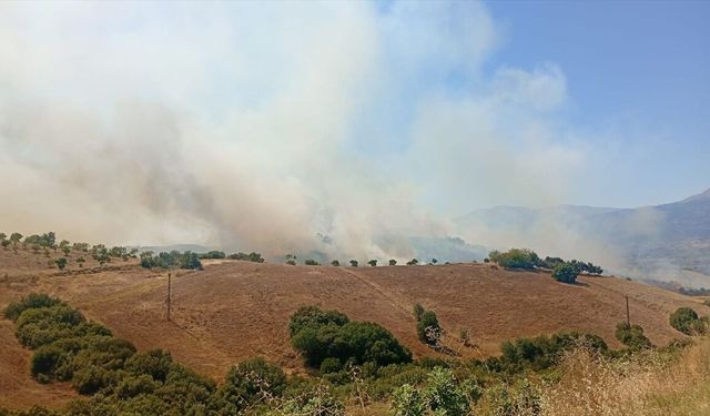 Kiraz'da tarım arazisinde yangın paniği! Ekiplerin hızlı müdahalesi alevleri durdurdu