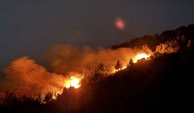 İzmir Bornova'da orman yangını! Alevlerle mücadele devam ediyor