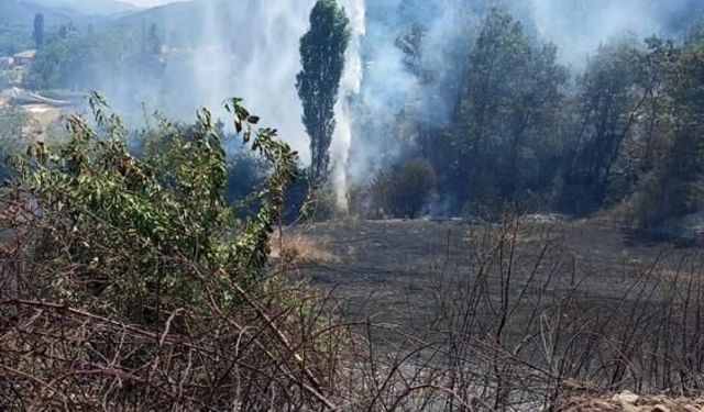 Aydın'da ziraat alanında yangın paniği! Alevler ormana ulaşmadan kontrol altına alındı