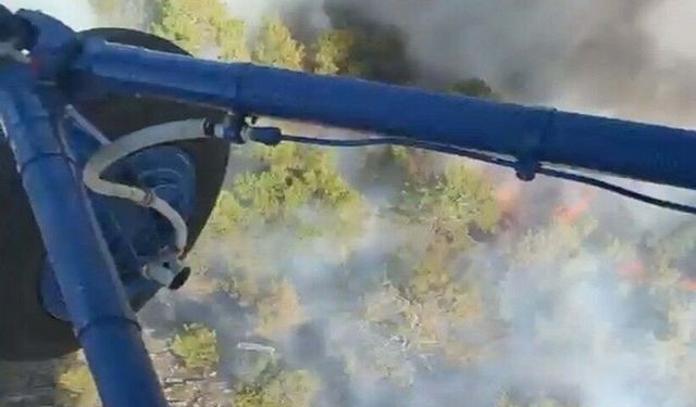 SON DAKİKA Aydın’dan korkutan haber: Yangın yerleşim yerlerini tehdit ediyor!
