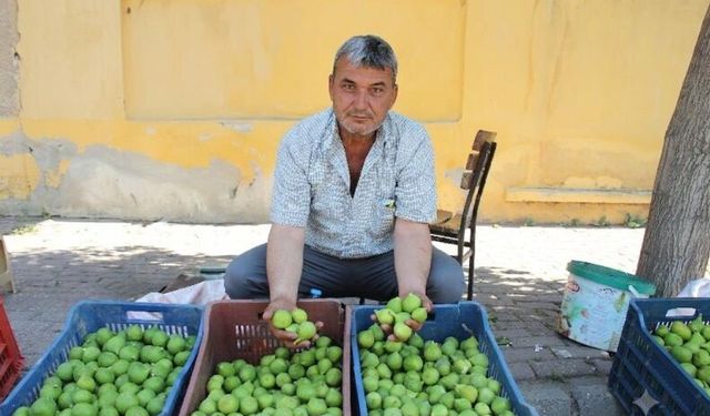 Aydınlı üreticiden sosyal medya kazancına eleştiri: "Kalıcı olan emektir"