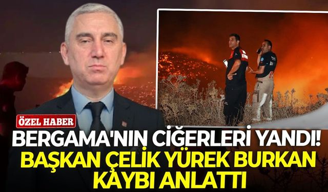 Bergama'nın ciğerleri yandı! Başkan Çelik yürek burkan kaybı anlattı
