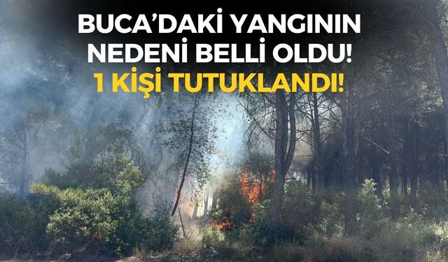 İzmir Buca'daki yangının nedeni belli oldu! 1 kişi tutuklandı!