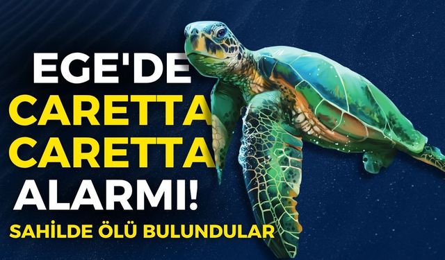 Ege'de caretta caretta alarmı! Peş peşe kıyıya vurdular, ilk bulgular açıklandı