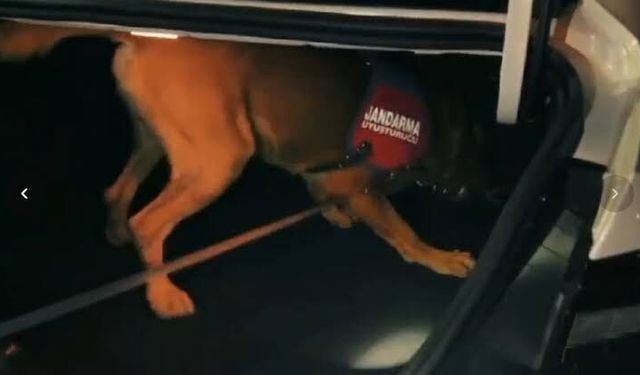 Uyuşturucuyla yakalanan CHP'li meclis üyesi tutuklandı! Partiden ihraç edildi