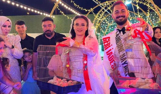 Düğünde takı sırası ustaya geldi, 100 tane taktı. 'Büyütün, sermayeniz olsun'