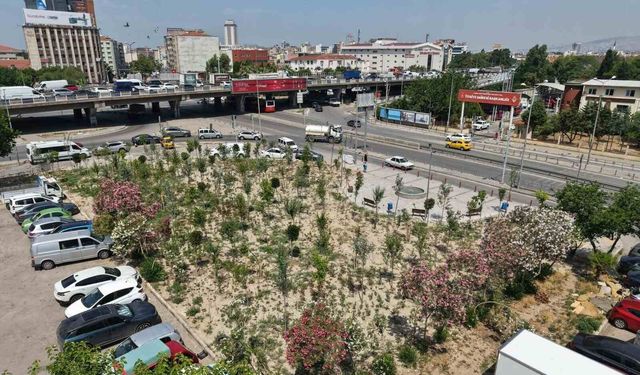Gaziler Caddesi’ne yeni nefes: İzmir Kemer’in "Mikro Ormanı" hazır!