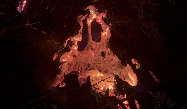 Fethiye orman yangınında gece boyu kritik mücadele: Alevlerin hızı düşürüldü