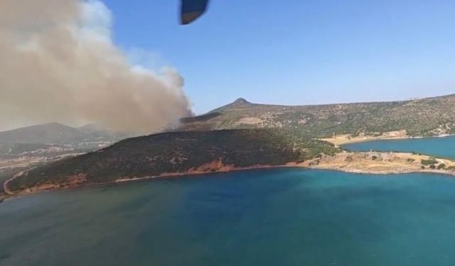 Foça’da orman yangını: Alevlere hava ve kara ekipleriyle yoğun müdahale