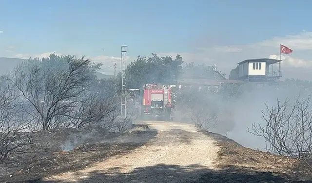 İzmir Bayındır'da yangın! Alevler evlere ulaştı!