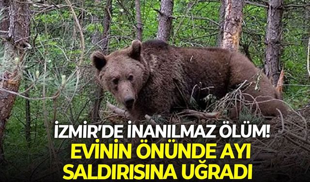 İzmir Seferhisar'da inanılmaz ölüm! Evinin önünde ayı saldırısına uğradı