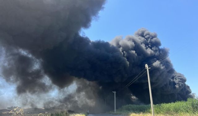 İzmir’de yangın alarmı! Menemen’de siyah dumanlar gökyüzünü kapladı!