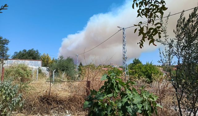 İzmir’in sınırında yangın alarmı! O ilçelerden duman göründü
