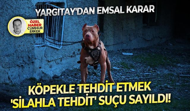 Yargıtay'dan Emsal Karar: Köpekle tehdit etmek 'silahla tehdit' suçu sayıldı!