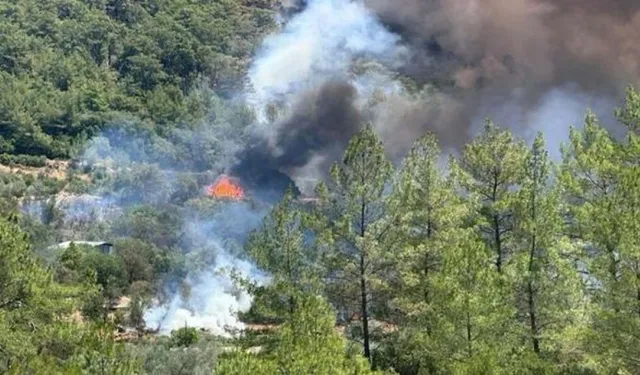 Muğla yangın son dakika: Muğla'da yangın nerede başladı, son durum nedir?