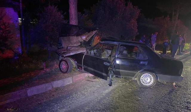Ödemiş'te yürek burkan kaza! Sokak köpeğine çarpmamak için yapılan manevra can aldı