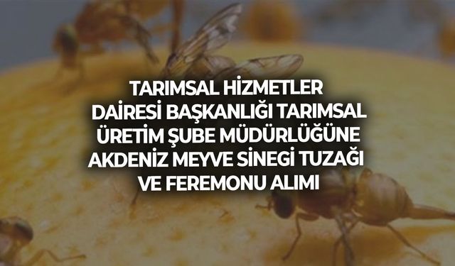 TARIMSAL HİZMETLER DAİRESİ BAŞKANLIĞI TARIMSAL ÜRETİM ŞUBE MÜDÜRLÜĞÜNE AKDENİZ MEYVE SİNEGİ TUZAGI VE FEREMONU ALIMI