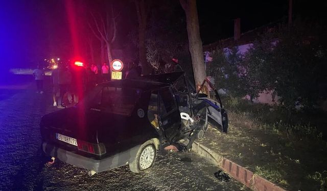 Ödemiş'te korkunç gece! Önüne çıkan köpeğe çarpmamak için direksiyonu kırdı: 1'i ağır 2 yaralı!
