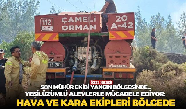 Yeşilüzümlü alevlerle mücadele ediyor: Hava ve kara ekipleri bölgede