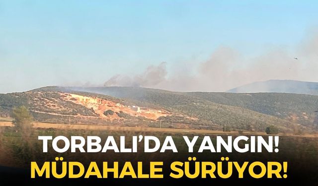 SON DAKİKA İzmir Torbalı'da yangın: Havadan ve karadan müdahale sürüyor!