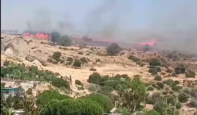 Foça'da eski çöplükte korkutan yangın! Alevler makilik alana sıçradı
