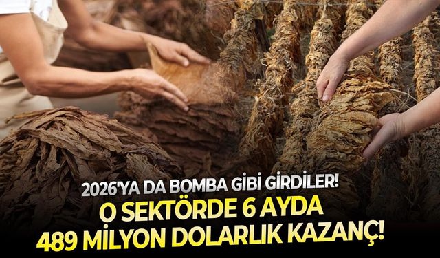 2026'ya da bomba gibi girdiler: O sektörde 6 ayda 489 milyon dolarlık kazanç!