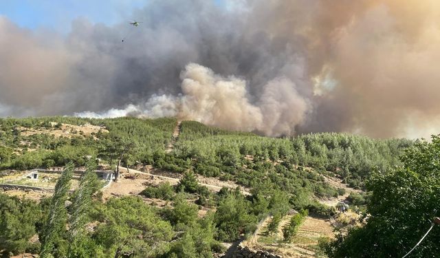 Alevlerle Mücadelede yüreklere su serpen gelişme: Çine, Buca ve Susurluk kontrol altında