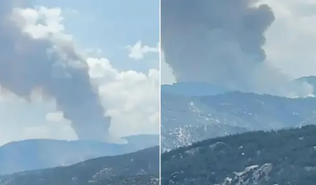 Aydın'da orman yangını: Ekipler havadan ve karadan seferber oldu!