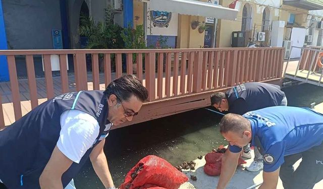 İzmir’de yasa dışı kara midye avına operasyon: 560 kilo midyeye el konuldu