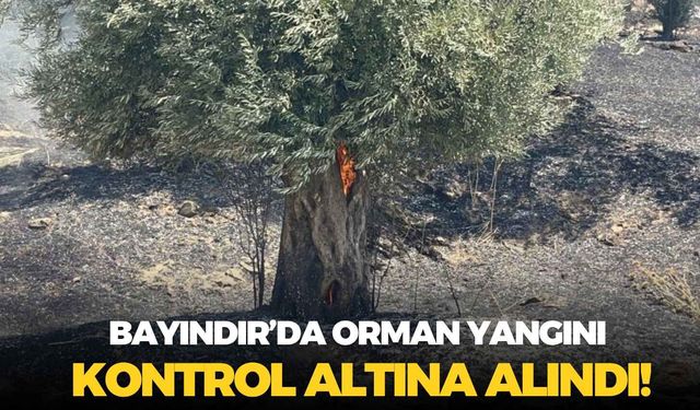 Bayındır’da orman yangını kontrol altına alındı! Alevlerin çıkış nedeni araştırılıyor