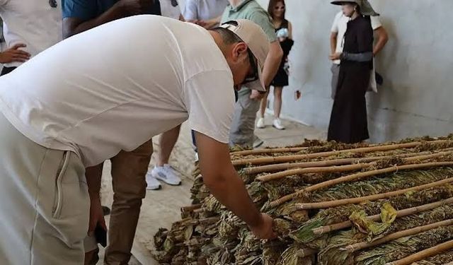 İzmir, 17 ülkeden tütün uzmanlarını ağırladı: CORESTA'nın 65. Zirai Kimyasal Analiz Toplantısı tamamlandı