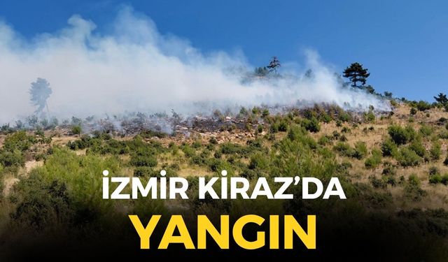 SON DAKİKA İzmir Kiraz'da orman yangını!