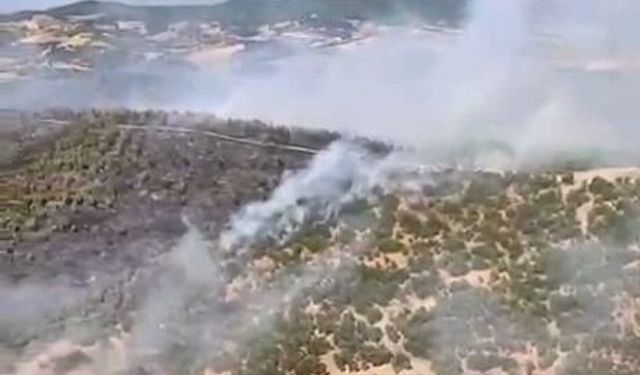İzmir Orman Bölge Müdürlüğü ekipleri müdahale etti: Gördes'teki yangın kontrol altında!
