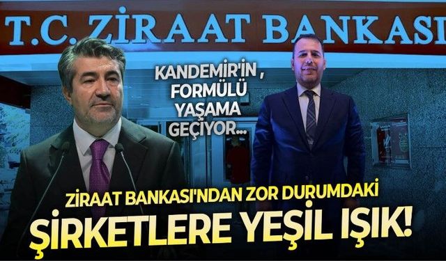 Hakan Kandemir'in işaret ettiği çözüm için ilk adım Ziraat Bankası'ndan: Zor duruma düşen şirketler için yeni bir dönem başlıyor