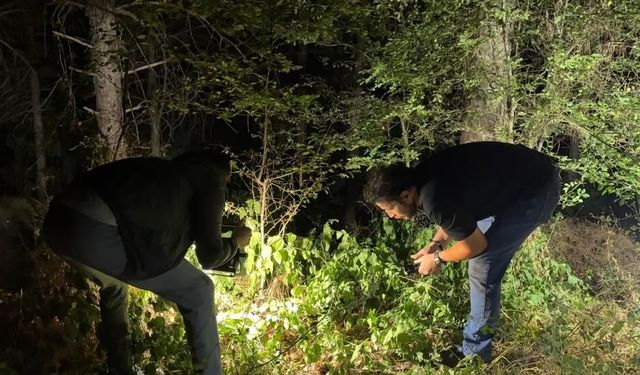 Ormanlık alanda silahlı saldırı: 24 yaşındaki genç yaralandı!