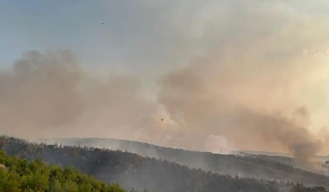 Manisa Kula’daki orman yangını 8 saatte kontrol altına alındı!