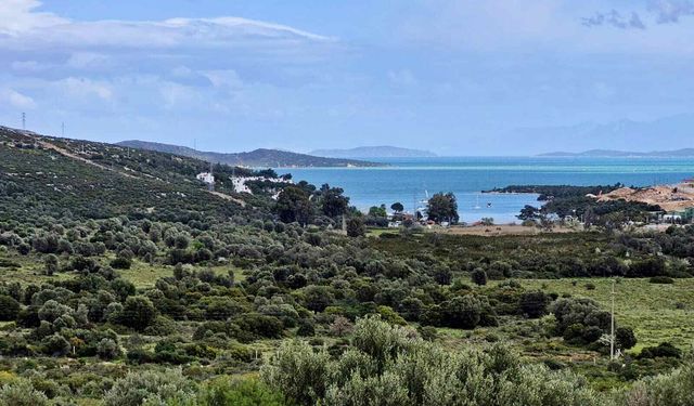 Karaburun'da neler oluyor? Askıya çıkan plan yeni krizi ateşledi