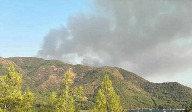 Marmaris’te orman yangınında ikinci gün! Bölgede son durum ne?