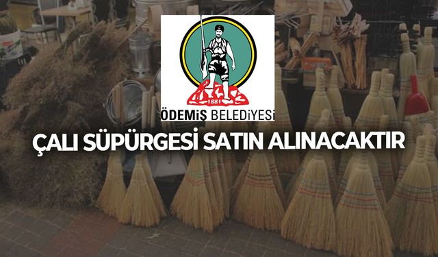 ÇALI SÜPÜRGESİ SATIN ALINACAKTIR