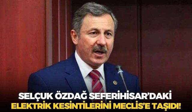Selçuk Özdağ Seferihisar’daki elektrik kesintilerini Meclis’e taşıdı